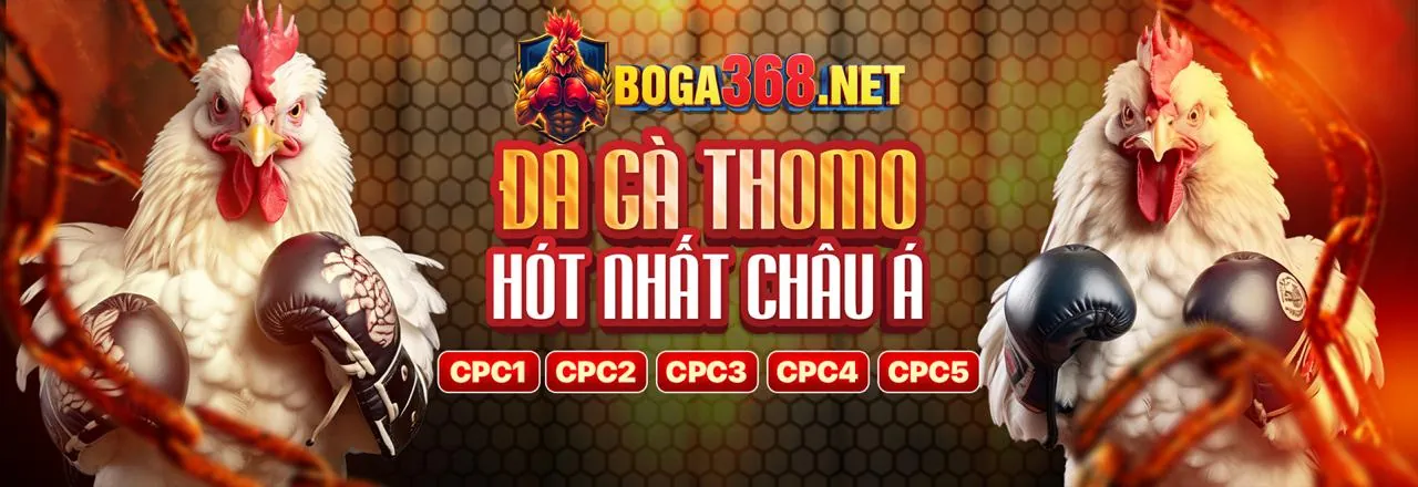 Đá gà trực tuyến đỉnh cao tại Bia66